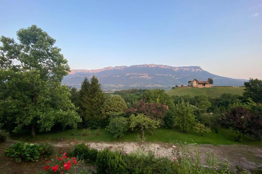 Au Calme Avec Vue Magnifique A Saint Maximin Daire Dış mekan fotoğraf
