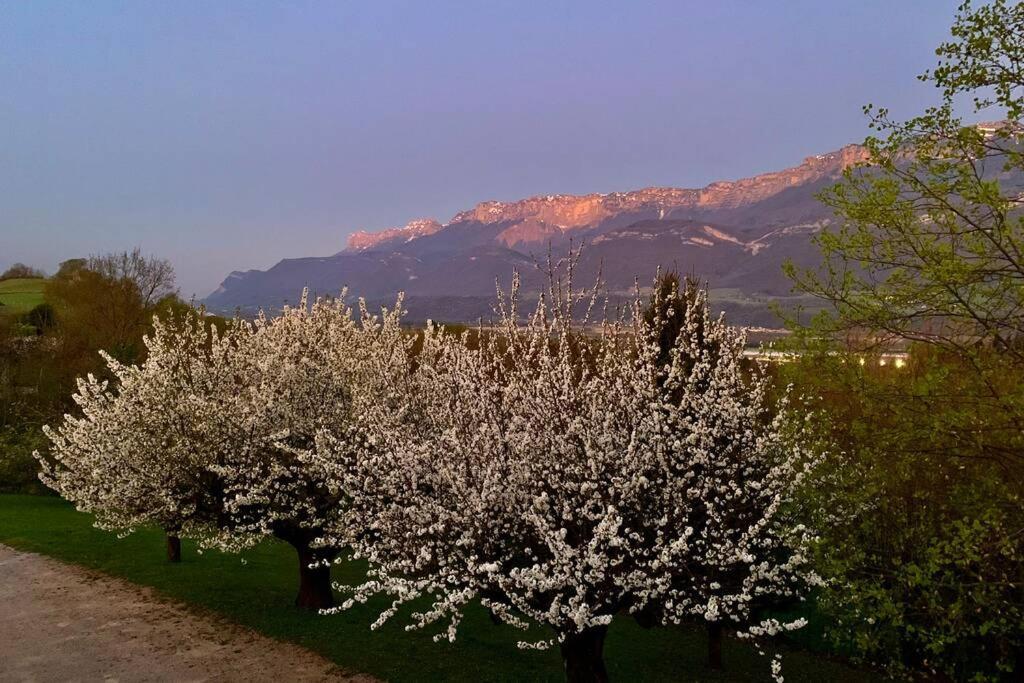 Au Calme Avec Vue Magnifique A Saint Maximin Daire Dış mekan fotoğraf